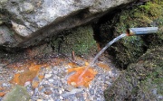 SORGENTE DEL TORRENTE ENNA. -  FOTOGALLERY